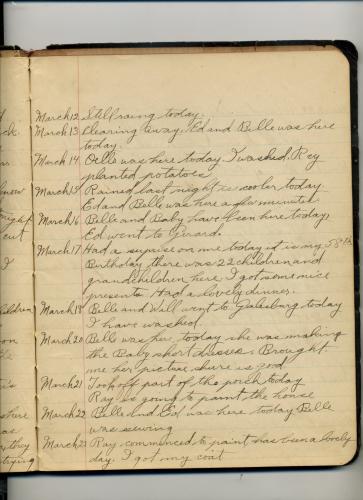 Rosa Ellis Diary - Page 008