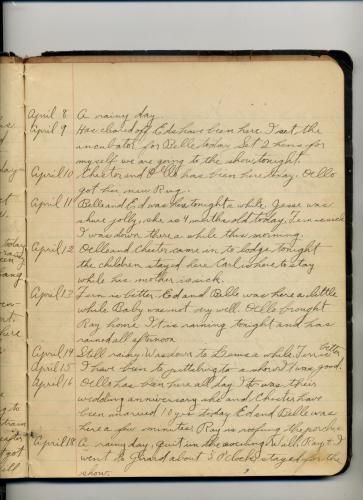 Rosa Ellis Diary - Page 010