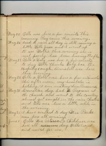 Rosa Ellis Diary - Page 014